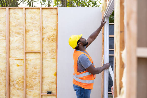 Best Fiberglass Insulation  in Shoreview, MN