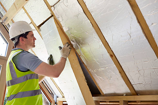 Best Insulation Repair Services  in Shoreview, MN