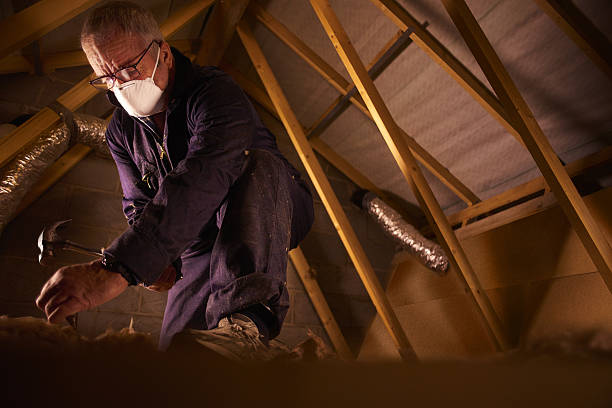 Insulation Repair Services in Shoreview, MN